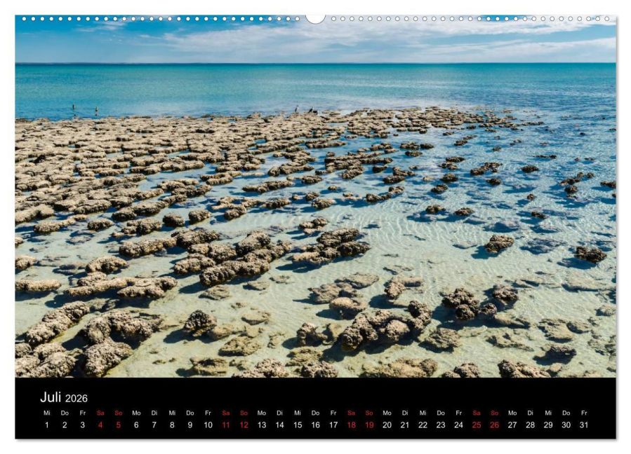 InsideView 12