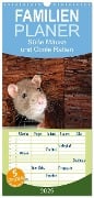 Familienplaner 2025 - Süße Mäuse und Coole Ratten mit 5 Spalten (Wandkalender, 21 x 45 cm) CALVENDO - Klaus Eppele