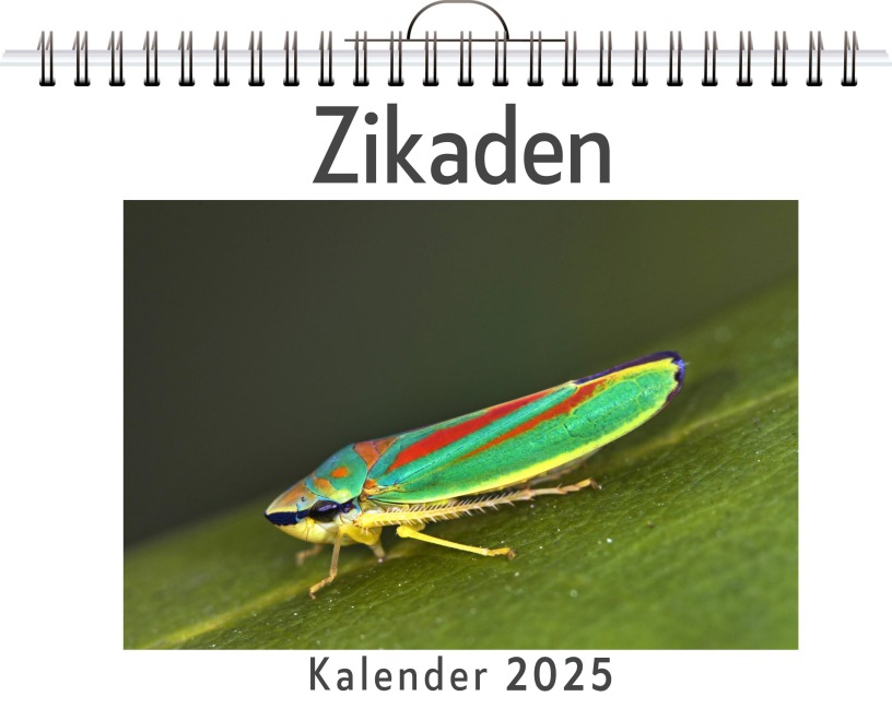 Zikaden - Lena Keller