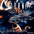Cover-Bild zum Titel 'Der Zorn Gottes' von 'Brandon Q. Morris'