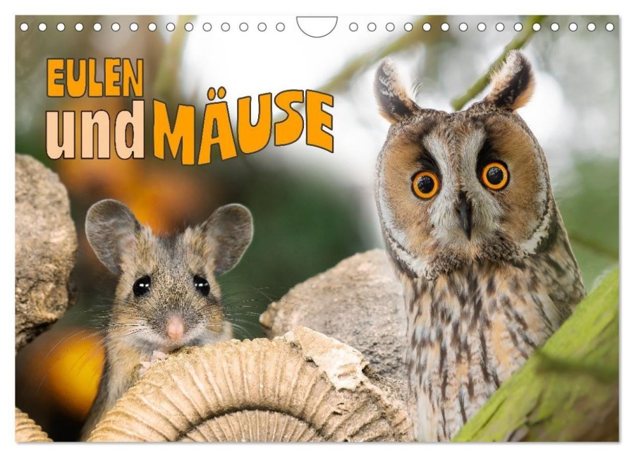Eulen und Mäuse (Wandkalender 2026 DIN A4 quer), CALVENDO Monatskalender - Jennifer Hetzel