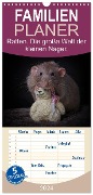 Familienplaner 2024 - Ratten. Die große Welt der kleinen Nager mit 5 Spalten (Wandkalender, 21 x 45 cm) CALVENDO - Thorsten Nilson