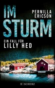 Cover-Bild zum Titel 'Im Sturm' von 'Pernilla Ericson'