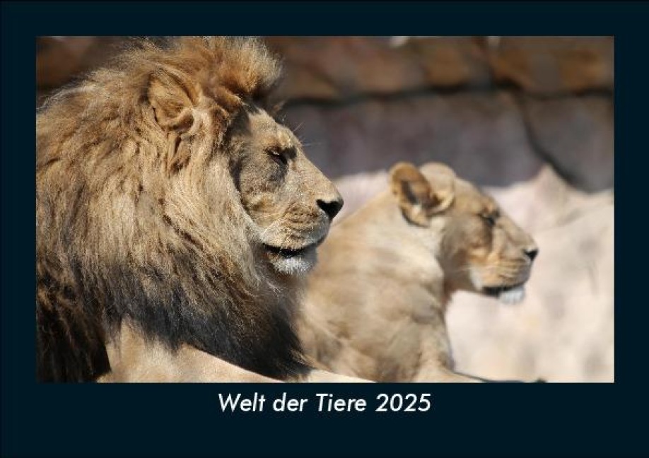 Welt der Tiere 2025 Fotokalender DIN A5 - Tobias Becker