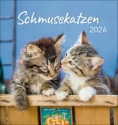 Schmusekatzen 2026 - 