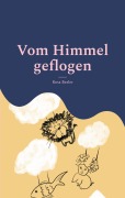 Cover-Bild zum Titel 'Vom Himmel geflogen' von 'Rosa Besler'