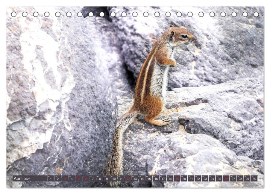 InsideView 9