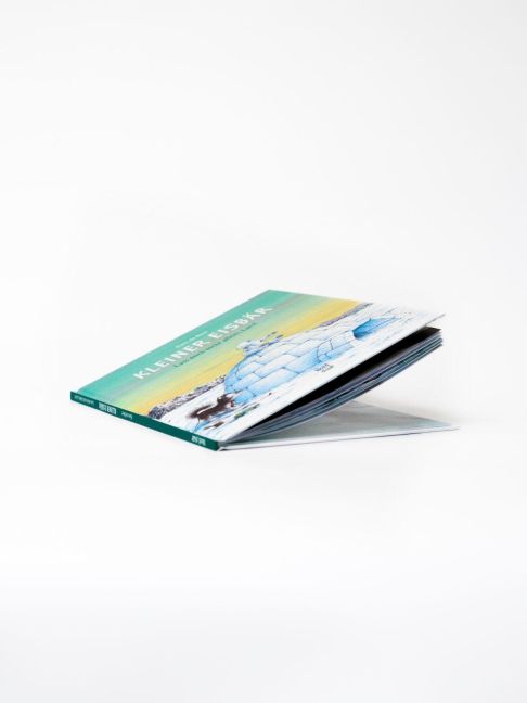 InsideView 2