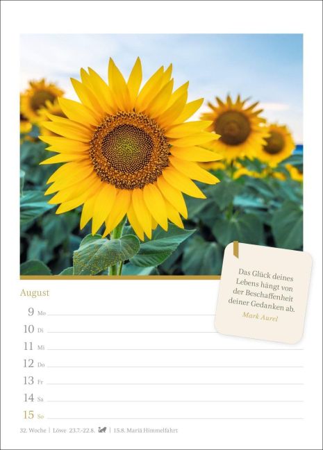 InsideView 12