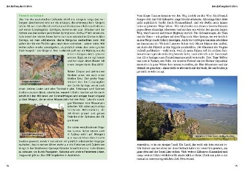 InsideView 1