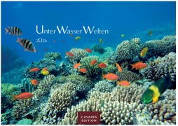 Unterwasserwelten 2026 S 24x35cm - 
