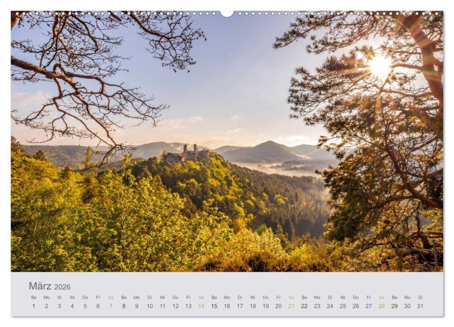 InsideView 8