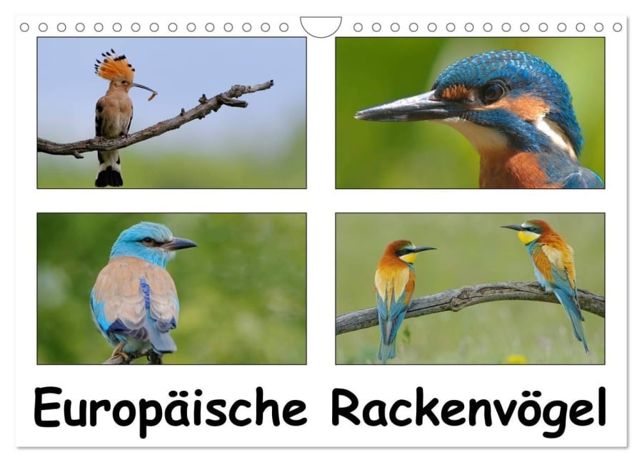 Europäische Rackenvögel (Wandkalender 2025 DIN A4 quer), CALVENDO Monatskalender - Gerald Wolf