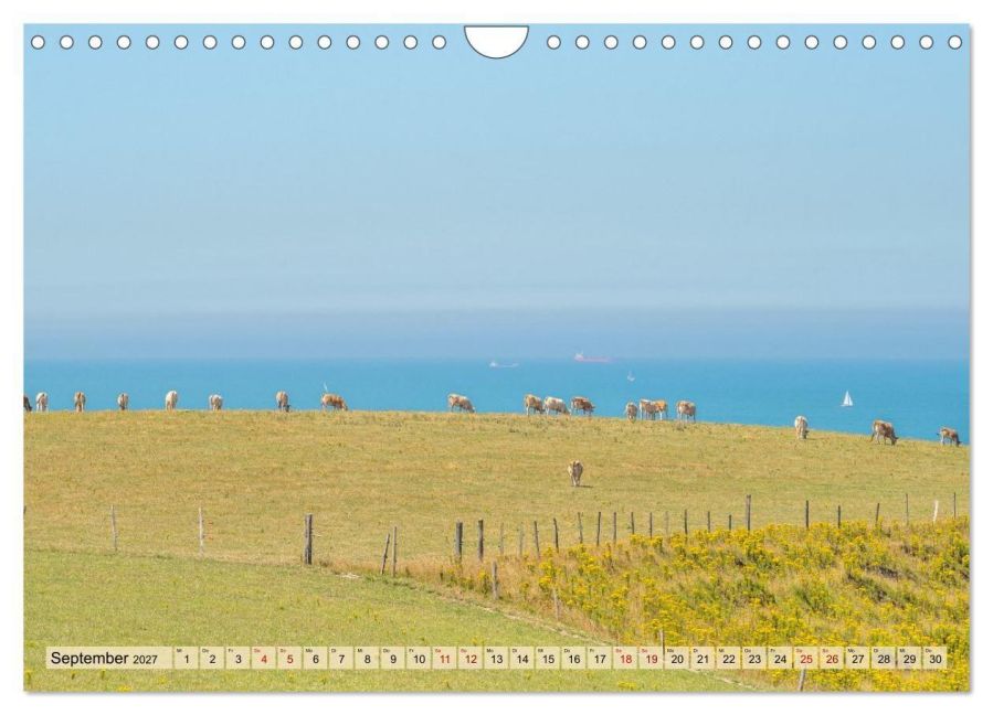 InsideView 14
