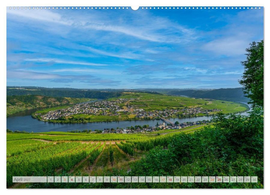 InsideView 8
