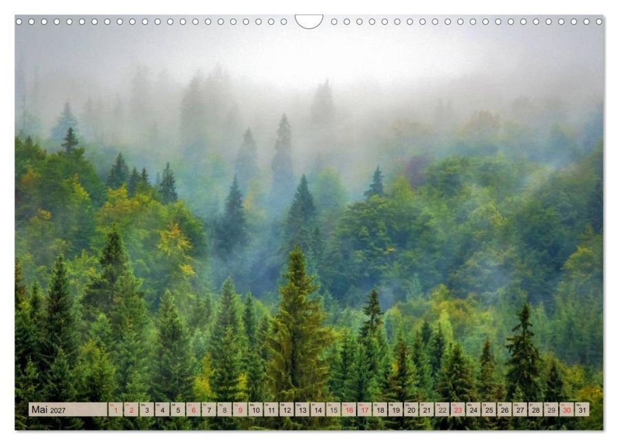 InsideView 10