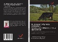 Cover-Bild zum Titel 'RUMINALNA DYNAMIKA LIPIDOWA U WYSPECJALIZOWANYCH KRÓW MLECZNYCH' von 'Juan Manuel Rojo Bedoya, Ricardo Rosero Noguera'