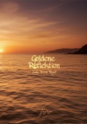 Cover-Bild zum Titel 'Goldene Reflektion' von 'Jade Vivien Vogel'