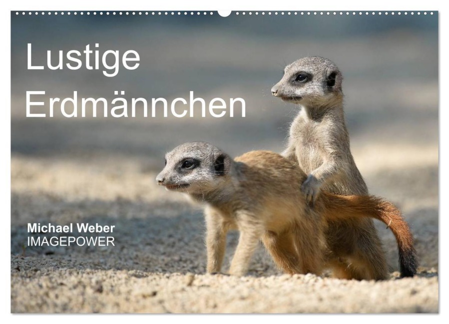 Lustige Erdmännchen (Wandkalender 2026 DIN A2 quer), CALVENDO Monatskalender - Michael Weber