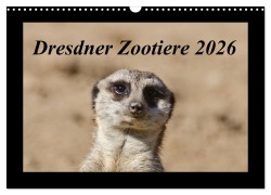 Cover-Bild zum Titel 'Dresdner Zootiere 2026 (Wandkalender 2026 DIN A3 quer), CALVENDO Monatskalender' von 'Michael Weirauch'