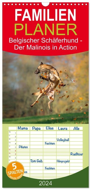 Familienplaner 2024 - Belgischer Schäferhund - Der Malinois in Action mit 5 Spalten (Wandkalender, 21 x 45 cm) CALVENDO - Tanja Brandt