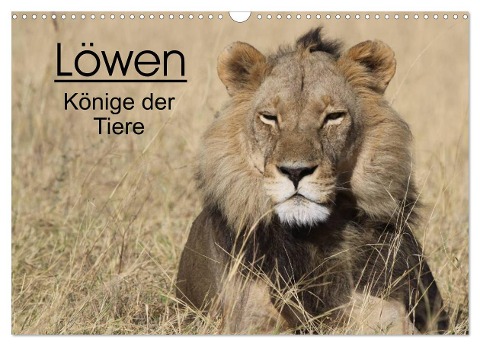Löwen - Könige der Tiere (Wandkalender 2024 DIN A3 quer), CALVENDO Monatskalender - Stefan Sander