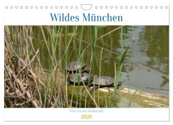 Cover-Bild zum Titel 'Wildes München (Wandkalender 2026 DIN A4 quer), CALVENDO Monatskalender' von 'Ingrid Franz'