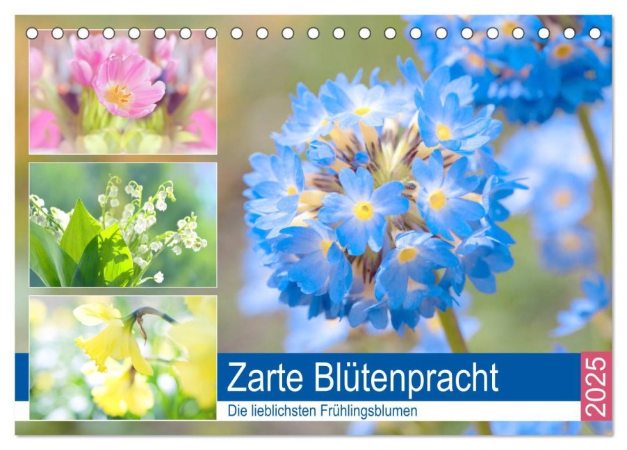Zarte Blütenpracht. Die lieblichsten Frühlingsblumen (Tischkalender 2025 DIN A5 quer), CALVENDO Monatskalender - Rose Hurley