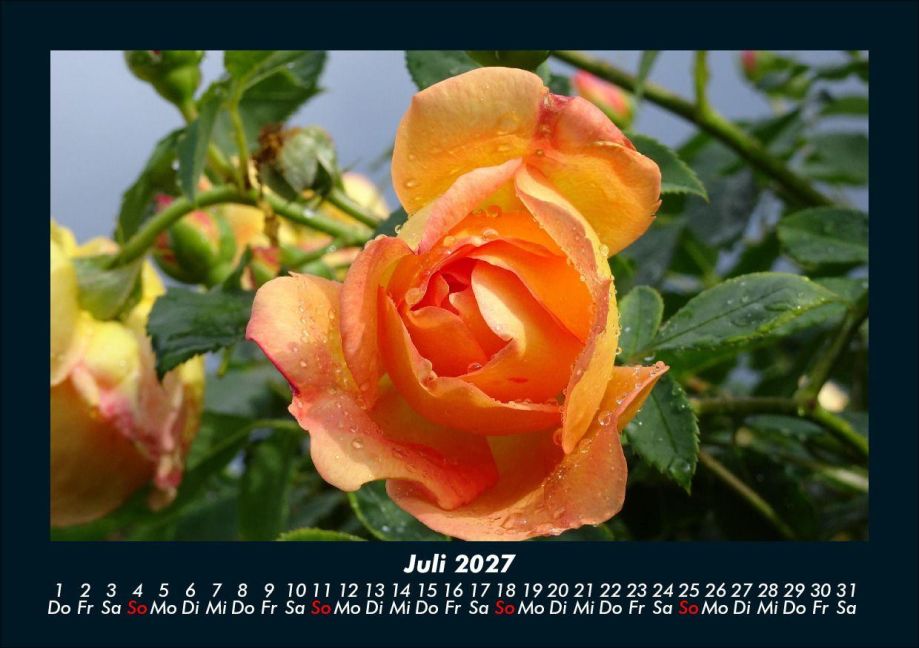 InsideView 11