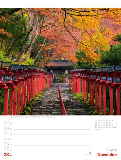 InsideView 51