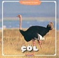 Cover-Bild zum Titel 'Cöl - Hayvanlar Dünyasi' von 'Kolektif'
