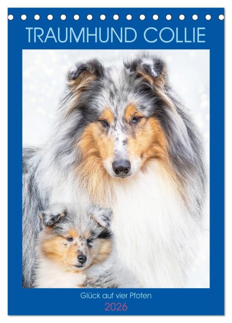 Traumhund Collie - Glück auf vier Pfoten (Tischkalender 2026 DIN A5 hoch), CALVENDO Monatskalender - Sigrid Starick