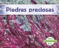 Cover-Bild zum Titel 'Piedras Preciosas' von 'Grace Hansen'