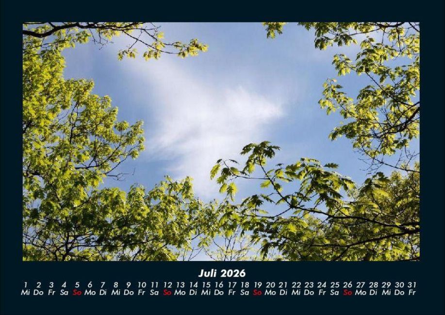 InsideView 11