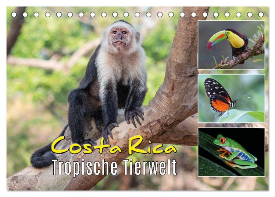 Costa Rica - Tropische Tierwelt (Tischkalender 2027 DIN A5 quer), CALVENDO Monatskalender - Kevin Eßer