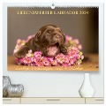 Liebenswerter Labrador 2024 (hochwertiger Premium Wandkalender 2024 DIN A2 quer), Kunstdruck in Hochglanz - Annett Mirsberger
