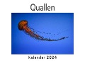 Quallen (Wandkalender 2024, Kalender DIN A4 quer, Monatskalender im Querformat mit Kalendarium, Das perfekte Geschenk) - Anna Müller