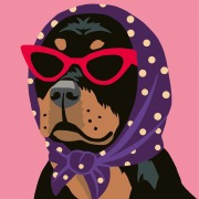 Cover-Bild zum Titel 'CreArt, Malen nach Zahlen Erwachsene - Stylischer Hund' von ''