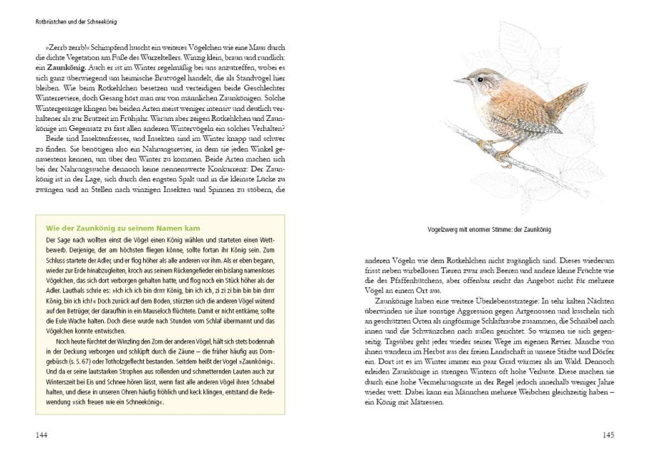 InsideView 4