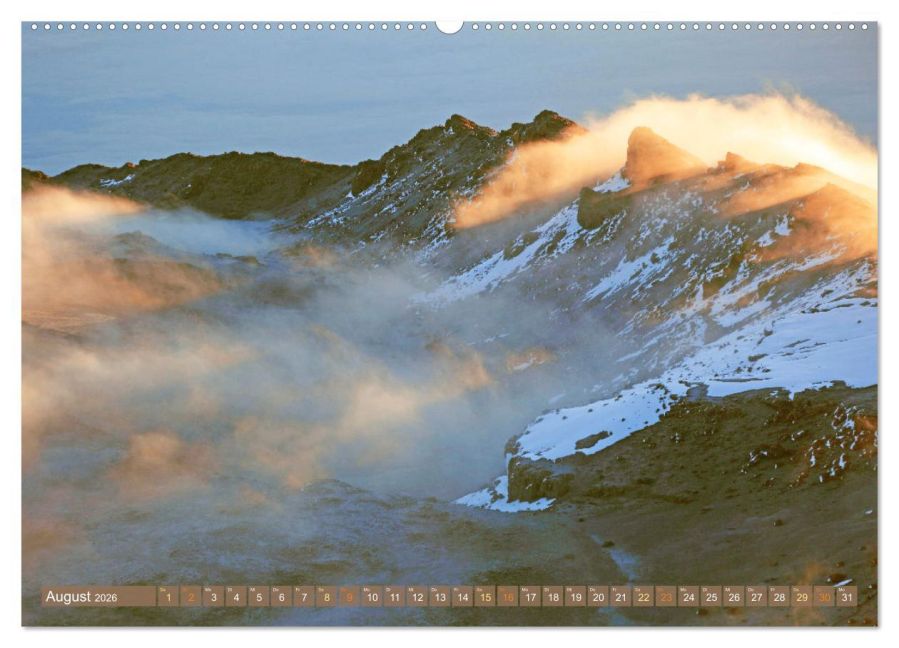 InsideView 12