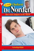 Cover-Bild zum Titel 'Schuldgefühle' von 'Patricia Vandenberg'