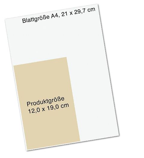 InsideView 12