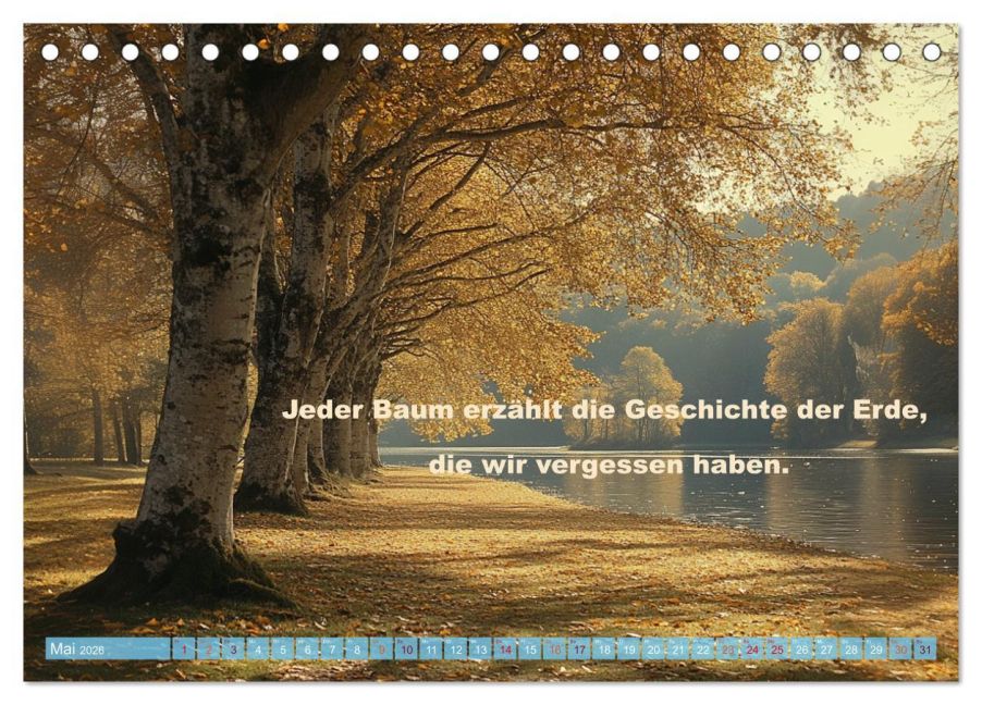 InsideView 10