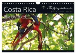 Cover-Bild zum Titel 'Costa Rica Blickwinkel 2026 (Wandkalender 2026 DIN A4 quer), CALVENDO Monatskalender' von 'The Flying Bushhawks'