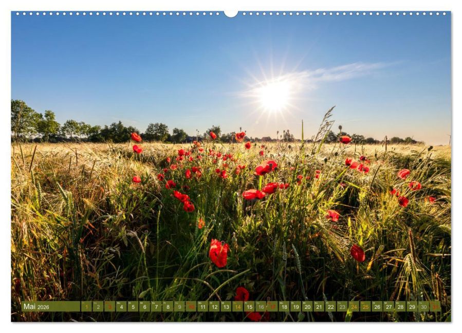 InsideView 10