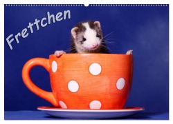 Cover-Bild zum Titel 'Frettchen - Ferrets (Wandkalender 2026 DIN A2 quer), CALVENDO Monatskalender' von 'Jeanette Hutfluss'