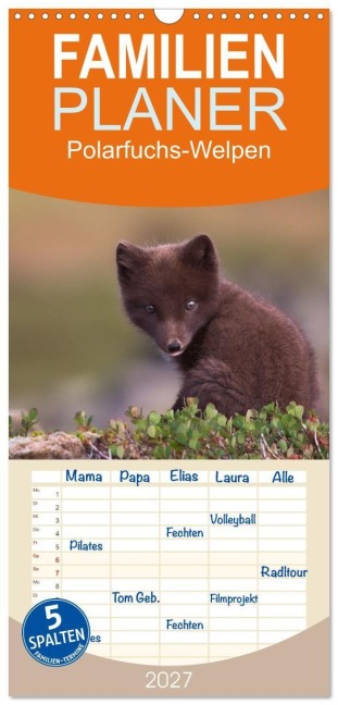 Familienplaner 2027 - Polarfuchs-Welpen mit 5 Spalten (Wandkalender, 21 x 45 cm) CALVENDO - Judith Kuhn