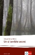 Un si terrible secret - Évelyne Brisou-Pellen