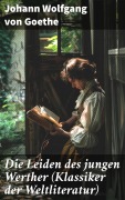 Cover-Bild zum Titel 'Die Leiden des jungen Werther (Klassiker der Weltliteratur)' von 'Johann Wolfgang von Goethe'