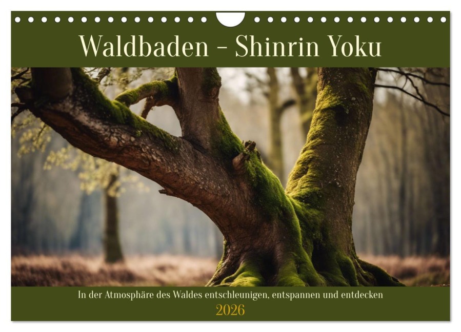 Waldbaden - Shinrin Yoku (Wandkalender 2026 DIN A4 quer), CALVENDO Monatskalender - Claudia Kleemann